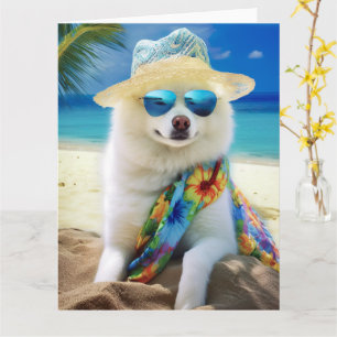 American Eskimo on Beach, Sommergeschenk für Hunde Karte
