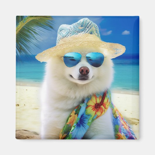 American Eskimo on Beach, Sommergeschenk für Hunde Magnet (Vorne)