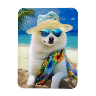 American Eskimo on Beach, Sommergeschenk für Hunde Magnet