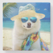 American Eskimo on Beach, Sommergeschenk für Hunde Steinuntersetzer (Vorderseite)