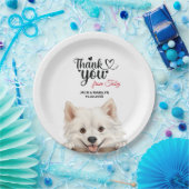 American Eskimo Pappteller (Party)