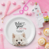American Eskimo Pappteller (Party)