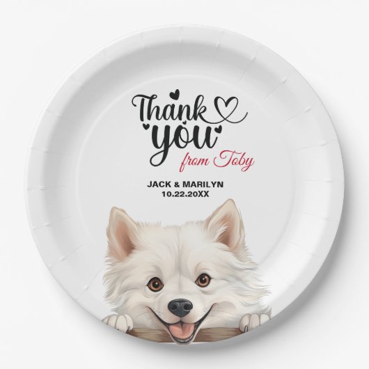 American Eskimo Pappteller (Vorderseite)