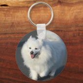 American Eskimo Schlüsselanhänger (Vorderseite)