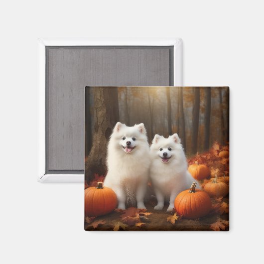 American Eskimo Welpe Autumn Delight Pumpkin Magnet (Vorderseite/Rückseite)