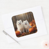 American Eskimo Welpe Autumn Delight Pumpkin Quadratischer Aufkleber (Umschlag)