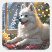 American Eskimo With Christmas Lights Holiday Quadratischer Aufkleber (Vorderseite)