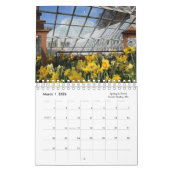 American Favorites 2025 Calendar Kalender (Mär 2026)