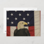American Flag and Bald Eagle Post Card Postkarte (Vorne/Hinten)