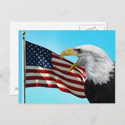 American Flag and Bald Eagle Postcard Postkarte (Vorne/Hinten)