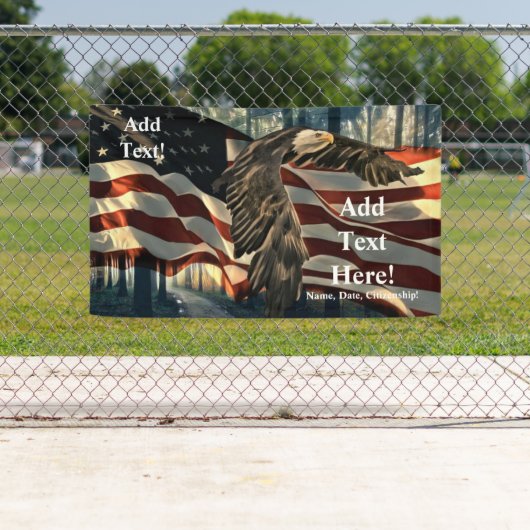 American Flag Bald Eagle Banner (Insitu)