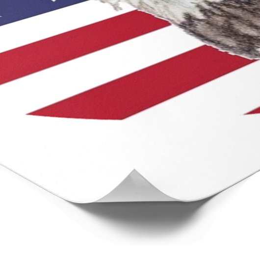 American Flag Bald Eagle  Poster (Ecke)
