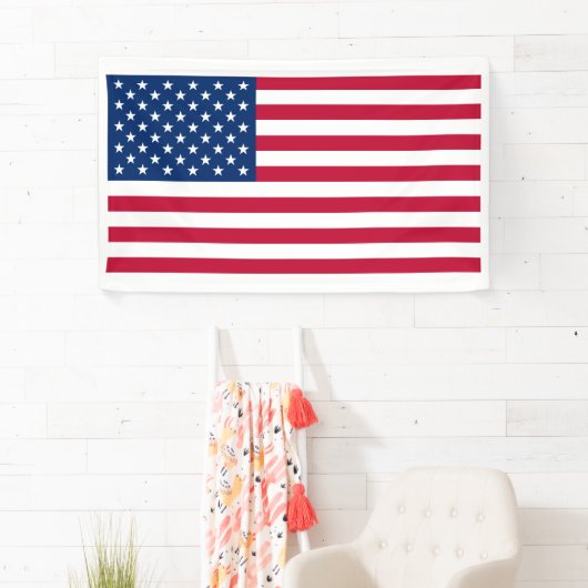 American Flag Banner (Insitu)