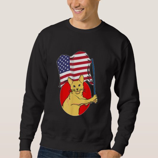American Flag Cat  Happy 4th July Sweatshirt (Vorderseite)