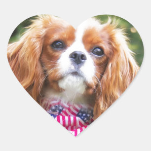 American Flag Cavalier King Charles Spaniel Puppy Herz-Aufkleber