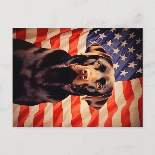 American Flag Chocolate Labrador Postkarte (Vorderseite)