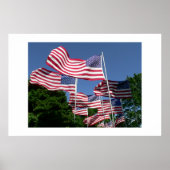 American Flag Display Poster (Vorne)