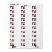 American Flag Eagle (Vorne)