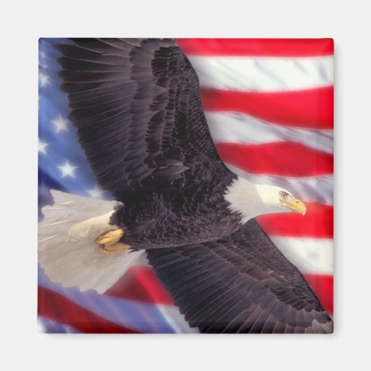 American Flag & Eagle Magnet (Vorne)