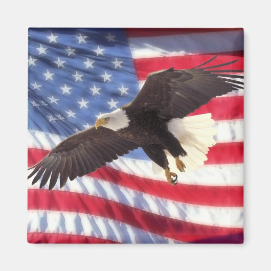 American Flag & Eagle Magnet (Vorne)
