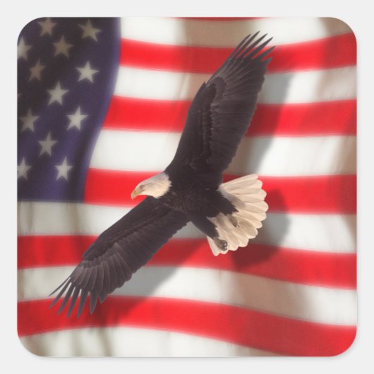 American Flag & Eagle Sticker (Vorderseite)