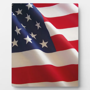 American Flag Fotoplatte