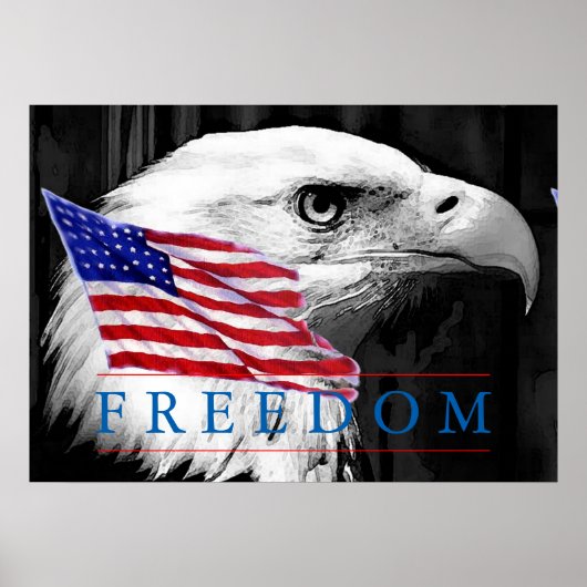 American Flag Freedom Eagle Eye Poster (Vorne)