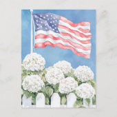 American Flag Hydrangeas Americana Postkarte (Vorderseite)