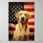 American Flag Labrador Poster (Vorne)