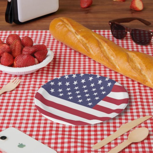 American Flag Paper Plate Pappteller (Picknick)