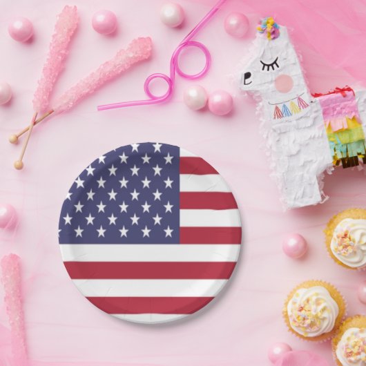 American Flag Paper Plate Pappteller (Party)