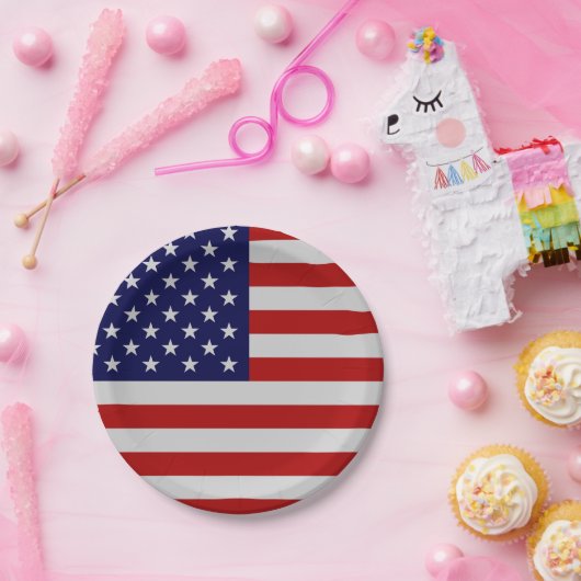 American Flag Paper Plate Pappteller (Party)