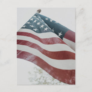 American Flag Post Card Postkarte