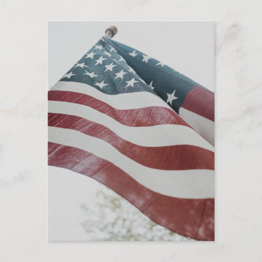 American Flag Post Card Postkarte (Vorderseite)