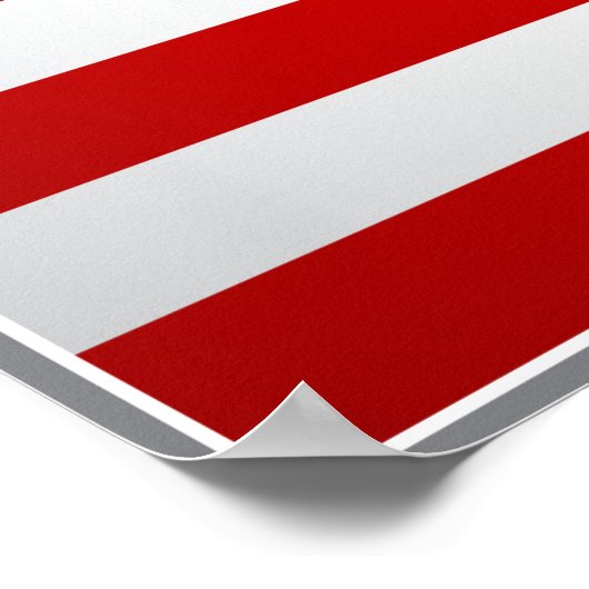 American Flag Poster (Ecke)