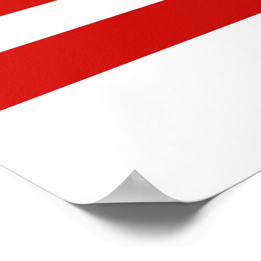 American Flag Poster (Ecke)