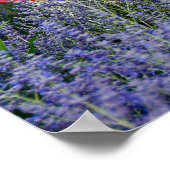 American Flag with Hat Poster (Ecke)