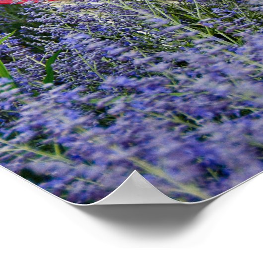 American Flag with Hat Poster (Ecke)