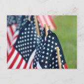 American Flags Postcard Postkarte (Vorderseite)