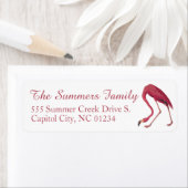 American Flamingo Audubuon Rücksendeadressen-Aufkl (Insitu)