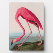 American Flamingo Birds of America Audubon Print Fotoplatte (Vorderseite)