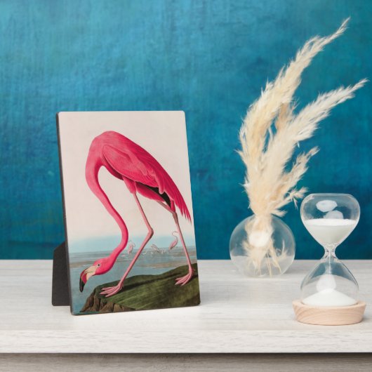 American Flamingo Birds of America Audubon Print Fotoplatte (Seite)