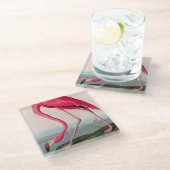 American Flamingo Birds of America Audubon Print Glasuntersetzer (Schrägansicht)