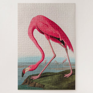 American Flamingo Birds of America Audubon Print Puzzle
