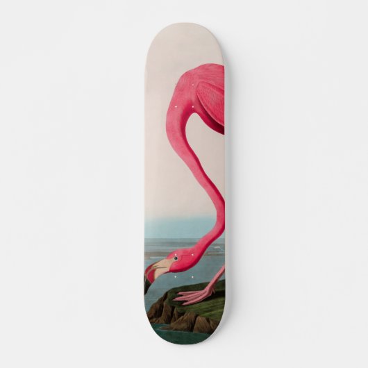 American Flamingo Birds of America Audubon Print Skateboard (Vorne)