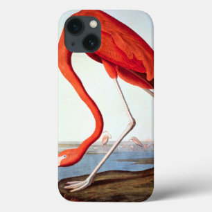 American Flamingo Case-Mate iPhone Hülle