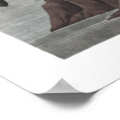 American Flamingo Illustration Poster (Ecke)