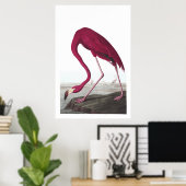 American Flamingo Illustration Poster (Heimbüro)
