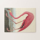 American Flamingo ~ John James Audubon 11 x 14 Puzzle (Horizontal)