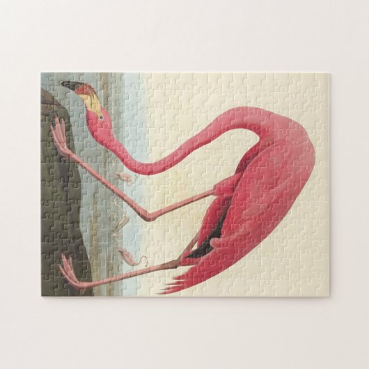 American Flamingo ~ John James Audubon 11 x 14 Puzzle (Horizontal)